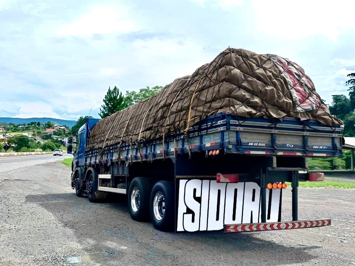 Heavy Truck Material Transportation in UAE 1
